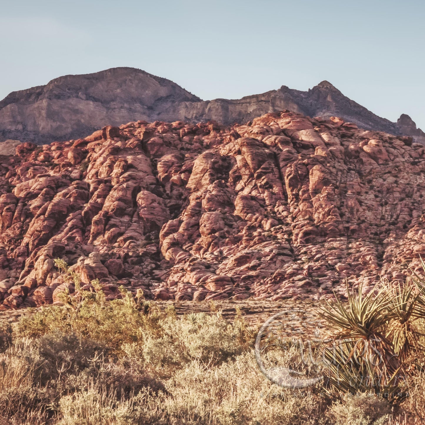 a mountain range with a few trees in the foreground