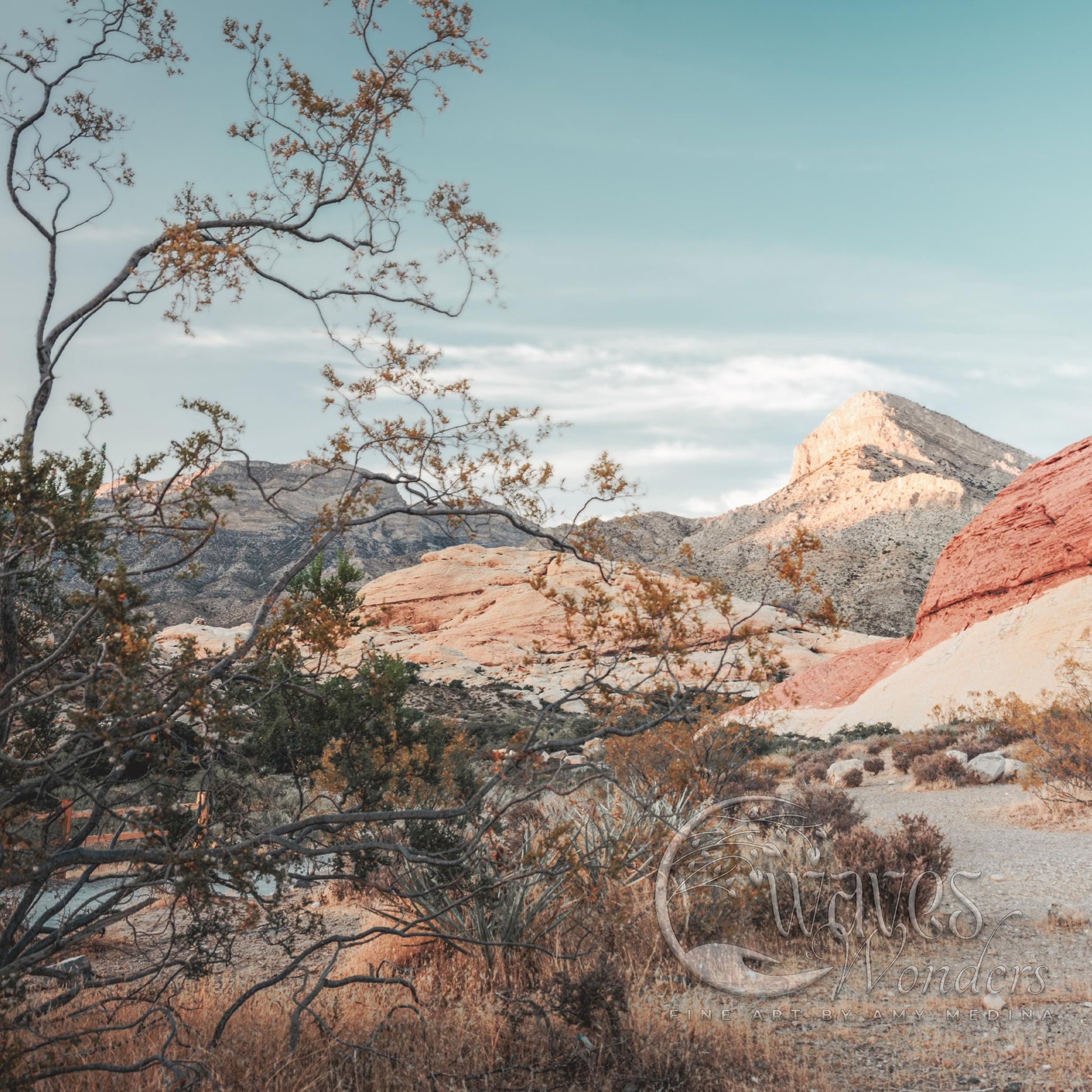 an animal is standing in the desert with mountains in the background