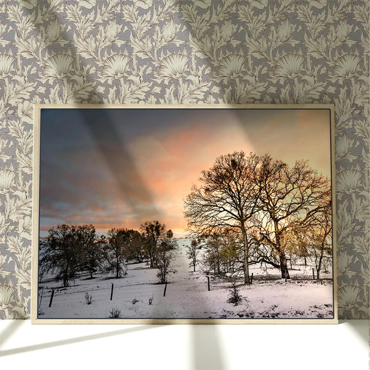 a picture of a snowy landscape with trees