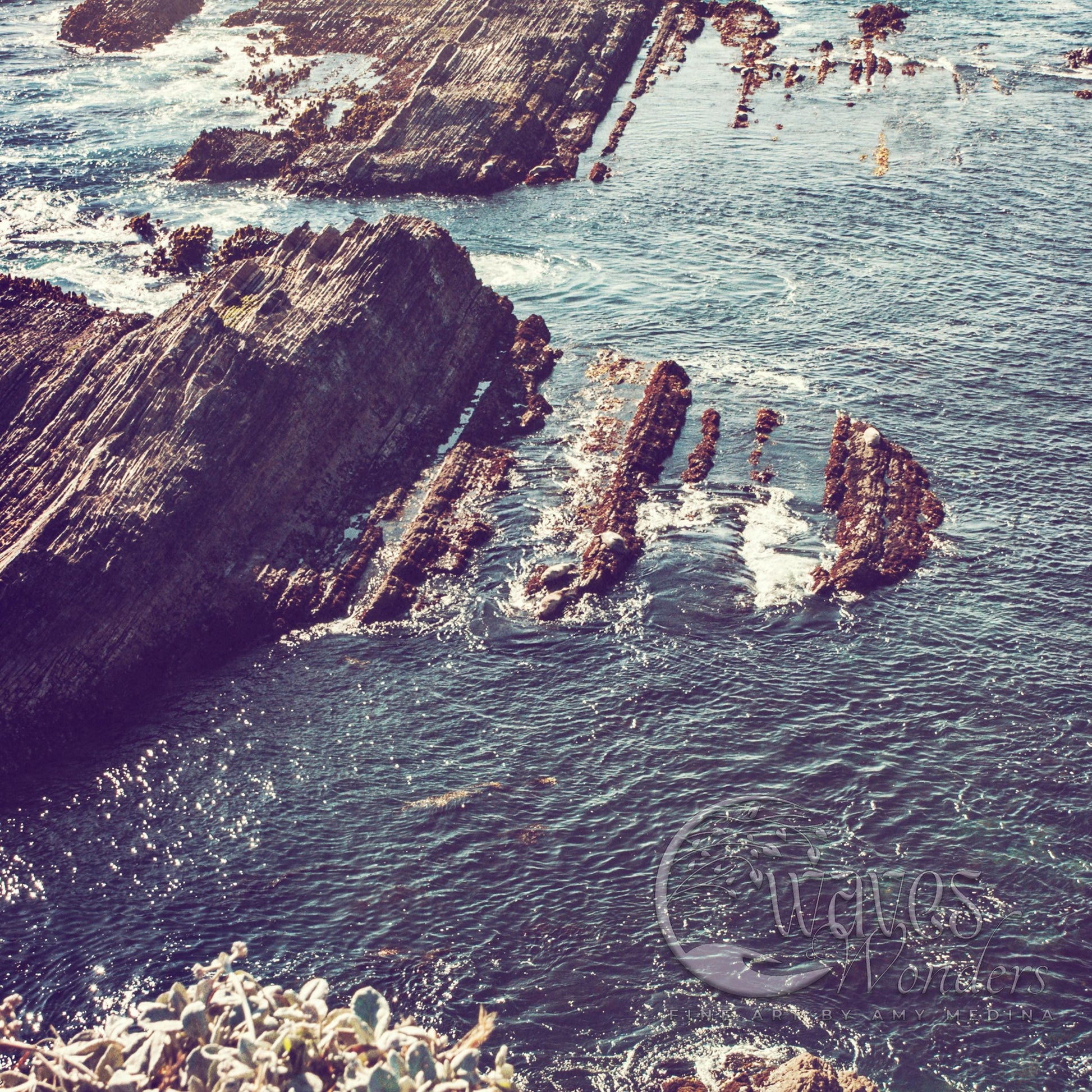 a group of people swimming in the ocean